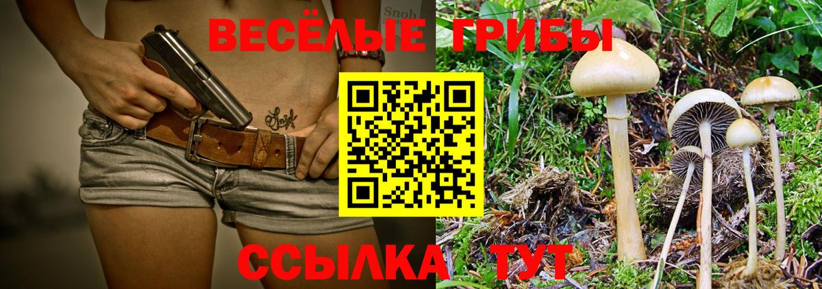 Псилоцибиновые грибы Psilocybine cubensis Буйнакск