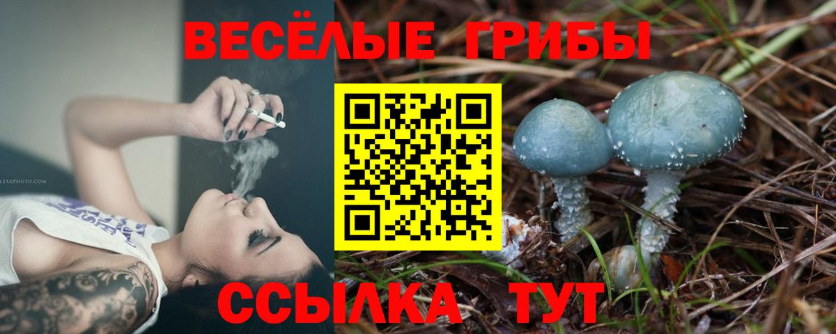 Буйнакск  Псилоцибиновые грибы Psilocybe  Псилоцибиновые грибы Cubensis  Вход с VPN 